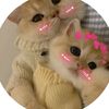 user9297114595088
