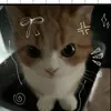 zuz_aa1