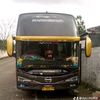 ayu.mistia