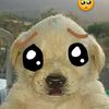 pataahumado1