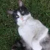 elya_kyamil025