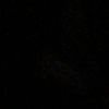 eng466ll