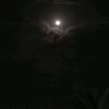 asma.abdelnaser