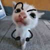 jaaraww00