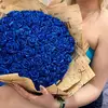 nrmin.fuadl