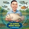 cagiongcaolanhdt