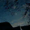 lua20266