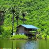 aung.naing.phyo114