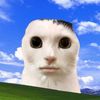 gummyslimex.id