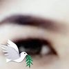 umammah.safyyah
