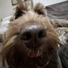 zera_074