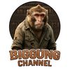BIGGUNG CHANNEL