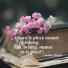 emilia.stanescu7