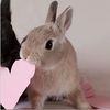 tey_faalynn