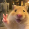 lky_fu