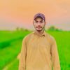 hassanabbasbhatti2243