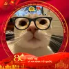 phong.oopp