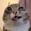yosupbru