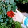 milon.akther52