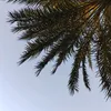 nrn_8tk