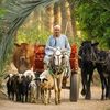 يوميات فلاح