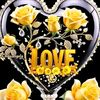 izan.abbas564
