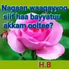 waqayyooko07