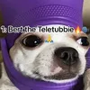 tomtomsupreme2