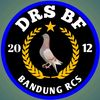 .akbardnzmerpati