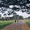 Akun_gabut01