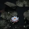 ha_trieu1