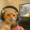 elgatogamer6990