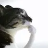 __pepie__