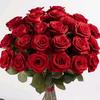 imtiaz.ahmed4087