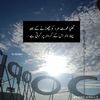 haseebjutt7925