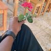 md.abir.hossain7.9.8.1