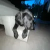 batorekpotworek1