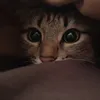 alissssa_42