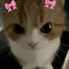 floralziii