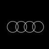 audi_fan_b8