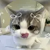 amna5581