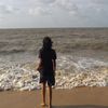 dian_bbro