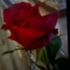 .user213014959