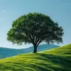 relax.nature68