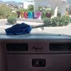 crico4893