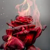 🥀Wallpaper🥀