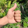 mantap review