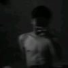 shinewai441