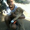 user4819168012023