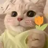 beong2864